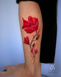 Фотография Аврора 3