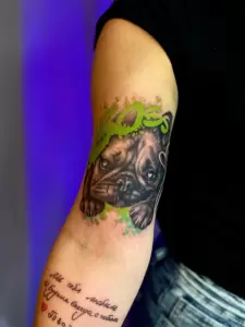 Фотография MeowArt Tattoo 2